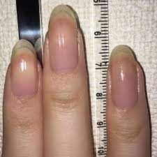 よくネイルベッドの長さを聞かれるので測りました 上手く測れなかったのでだいたいですがもう少し長いかも 素爪 ネイルベッド ハイポニキウム トップコート 育爪 セルフネイル ネイル ネイル セルフ 爪