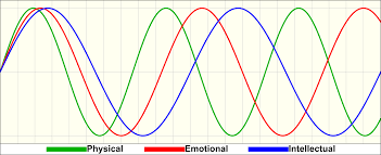 biorhythm wikipedia