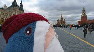 Yet Another Ikea Shark Shark Plush Shark Toy Shark Meme