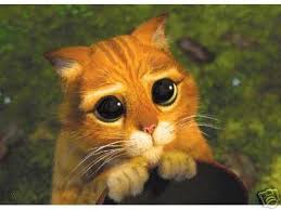 She always persuade us with this eyes, doing what i call the shrek cat's face. Shrek 3 Puss N Boots Cat Sad Eyes Window Cling Decal 25750163