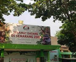 Jika menjumpai nomor telepon yang keliru atau tidak aktif silakan tinggalkan komentar. 11 Foto Bonbin Mangkang Semarang Harga Tiket Masuk Lokasi Semarang Zoo Update 2021 Jejak Kenzie