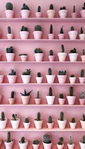 pin by aa garcia on imagenes pink wallpaper plant goals pastel pink aesthetic