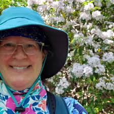 What are the best spots for mountain laurel photography?