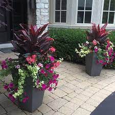 180 Container Gardening Ideas And Inspiration Easy Balcony Gardening In 2021 Potted Plants Outdoor Flower Pots Outdoor Container Gardening Flowers