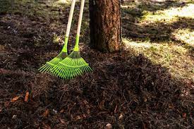 5 Simple Ways To Pick Up Fallen Pine Needles - My Backyard Life