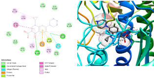 Image result for Hippocratea indica