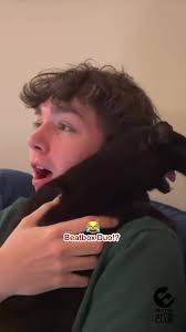 😹Beatbox Duo⁉️ Shout out to @🎶Carter Bryan 🎶 #beatboxduo #beatbox #cat  #beatboxing #dailyinspiration #rhythmmasterclub #rhythmmasters #ollieheath  #viral #fyp #shorts #dowhatyoulove #musicislife