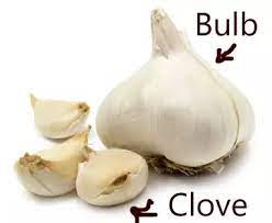 A single clove of garlic is equal to one teaspoon of chopped garlic or half a teaspoon of minced garlic. How Much Is A Clove Of Garlic In Recipes Quora