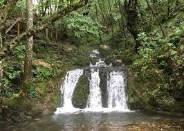 Descopera avantajele voucherelor de vacanta edenred! Concediu Cu Tichete De VacanÅ£Ä De La Cazanele DunÄrii La Peles Cu Alice Iv Muzica Instantelor