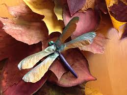 A wide variety of helicopter leaf options are available to you, such as there are 25 suppliers who sells helicopter leaf on alibaba.com, mainly located in asia. Pin By Terri Miller On Craft Ideas Maple Tree Seeds Seed Craft Pinecone Ideas