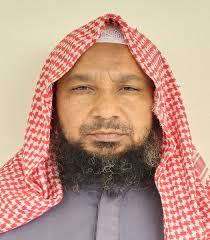 মূলপাতা