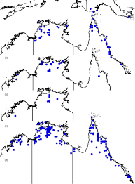 Image result for Diplacrum africanum