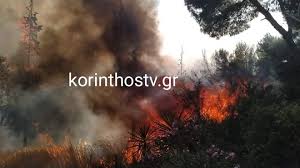 Παρατηρήσεις από το μεγαλύτερο δίκτυο μετεωρολογικών σταθμων. Fwtia Se Yfesh H Pyrkagia Sta Is8mia Korin8ias Star Gr