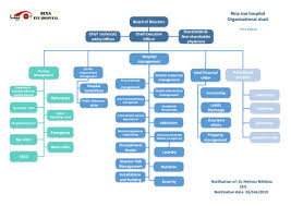 Bina Eye Hospital About Us Organizational Chart