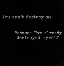 What brings you to our remote sanctuary? You Cant Destroy Me Because Ive Already Destroyed Myself Words Quotes Destroyed