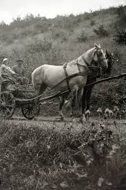 Image result for 11452