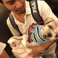 * hours central animal hospital indicated for the examination and may not coincide with the real! Windsor Animal Hospital C G 7 Vantage Desiran