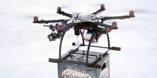 Address, phone number, beer fridge reviews: These Are All The Foods You Can Get Delivered By Drones Huffpost Life