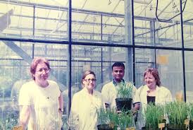 Botánica del mes: Isabel Mateu