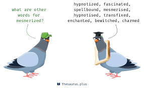 Words Mesmerized And Spellbound Have Similar Meaning