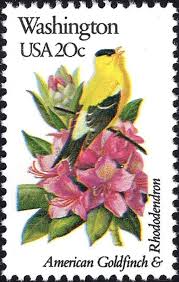 Birds Of Western Washington State Five 20c Washington State Bird And Flower Stamps Vintage Unused Us Postage Stamp Pacific Northwest Seattle Stamps For Mailing Stamp Flower Stamp Commemorative Stamps