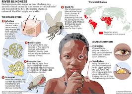 Defeating River Blindness - USF Magazine Summer 2013