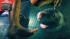 We did not find results for: 47 Metri Uncaged Una Calustrofobica Scena Del Film In Anteprima