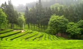 Chord gitar mudah lagu yang terdalam dari peterpan yang mudah dimainkan. Chord Lagu Yg Terlupakan Chordtela