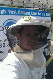 Residential and commercial pest control services, for your home and business. Bee Wasp Hornet Removal Services Bee Wasp Nests In Edison Somerset Lakewood