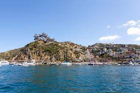 Rent by the hour, near the ferry terminal and in town. Catalina Island Ferry Service Here S How To Get To The Island