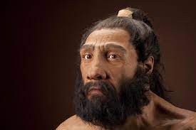Discover inspiring cultural heritage from european museums, galleries, libraries and archives. Estudo Genetico Revela Que Todos Os Europeus Eram Negros Conexao Lusofona