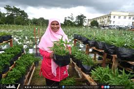 Bandar permaisuri (dikenali juga sebagai kampung buluh, nama asal) ialah sebuah bandar dan ibu daerah bagi daerah setiu, terengganu, malaysia. Kebun Komuniti Bandar Permaisuri Bantu Peserta Jana Pendapatan Trdi News