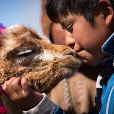Villa Vil, Belén, Catamarca
