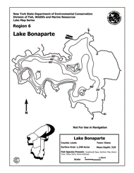 Lake Bonaparte Nys Dept Of Environmental Conservation