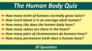 If you want to learn more, feel free to check out the following trivia blood quiz, foot quiz, this biology quiz, or this data mining quiz. Traktor Trgovec Vodenje Body Quiz Ingenieriacontraincendio Com