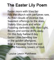 The Easter Lily Poem By Louis Lewin Matthews Lily Easter Lily Poems