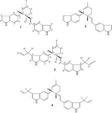 Image result for isolona