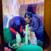 Image result for Tessmannia burttii