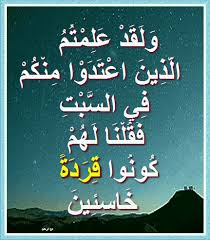 title>القردة في القرآن الكريم ... دواب وأنعام ذُكِرَت في القرآن الكريم ~  أسباب نزول آيات القرآن