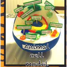 We did not find results for: Specialized Cell Models