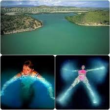 Bioluminescent Beach Puerto Rico Puerto Rico Lajas Puerto Rico Island Puerto Rico Bioluminescent Bay