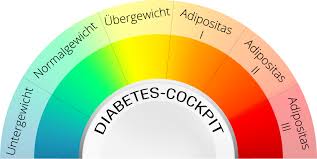 Die blutzucker normwerte tabelle zeigt die üblichen blutzuckerwerte für eine person, die diabetes hat oder nicht. Diabetes Cockpit Bmi Blutdruck Und Blutzucker