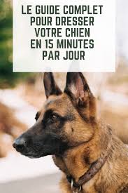 Dresser Son Chien En 15 Minutes Par Jour Dresser Un Chien Chien Elevage Chien