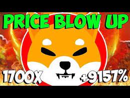 Shiba Inu Will Explode In Next 24 Hours Emergency News Shib Holders Shiba Inu Coin In 2021 Shiba Shiba Inu Inu