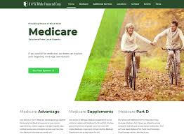 The menu bar is at the top. Insurance Website Design Nethe Rs
