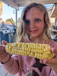 Should we open corn husks slightly when hand pollinating?