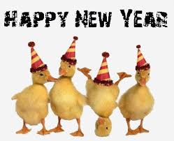 Happy New Year 2020 Jokes Animals Cute Animals Funny Animals