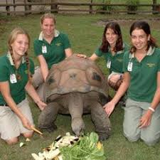 Australia Zoo Jobs Employment Dream Job Job