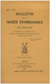 Image result for Cylindropsis