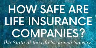5 • life insurance provides financial protection to families in the event of death and has a role in helping people to support themselves through periods of unemployment and in retirement. How Safe Are Life Insurance Companies The Money Advantage